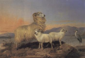理查德 安斯德爾 A Ewe with Lambs and a Heron Beside a Loch
